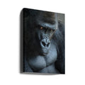 Unhappy Gorilla by Bill Mugg | Gorilla Portrait Face, Large Canvas Wall Art Print | Artsy Earth