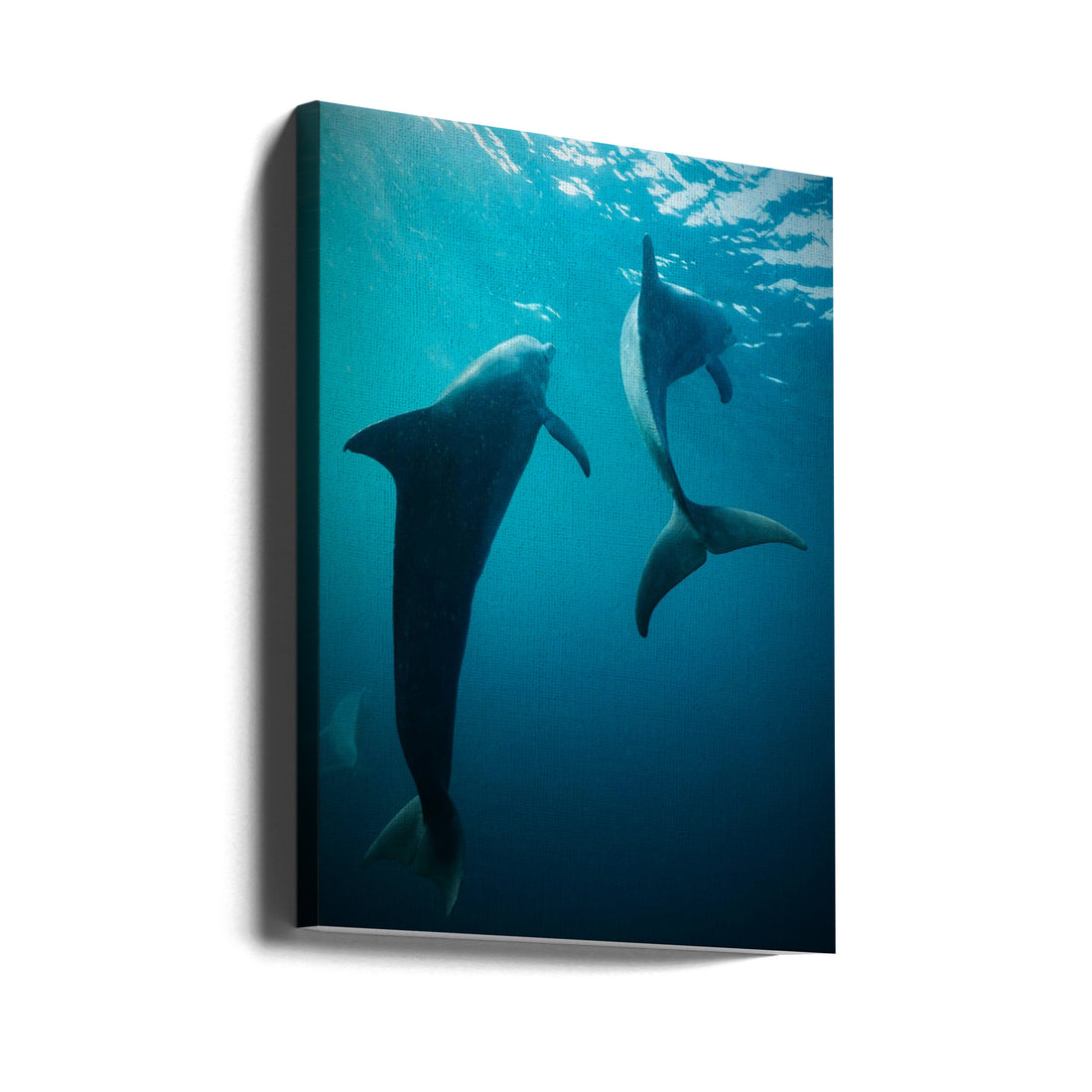 Shapes of Water by Serge Melesan | Underwater Dolphin, Large Canvas Wall Art Print | Artsy Earth