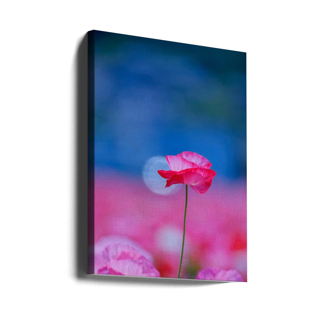 Pink Floral Macro by Chisho Nakada | Botanical Flora Macro, Large Canvas Wall Art Print | Artsy Earth