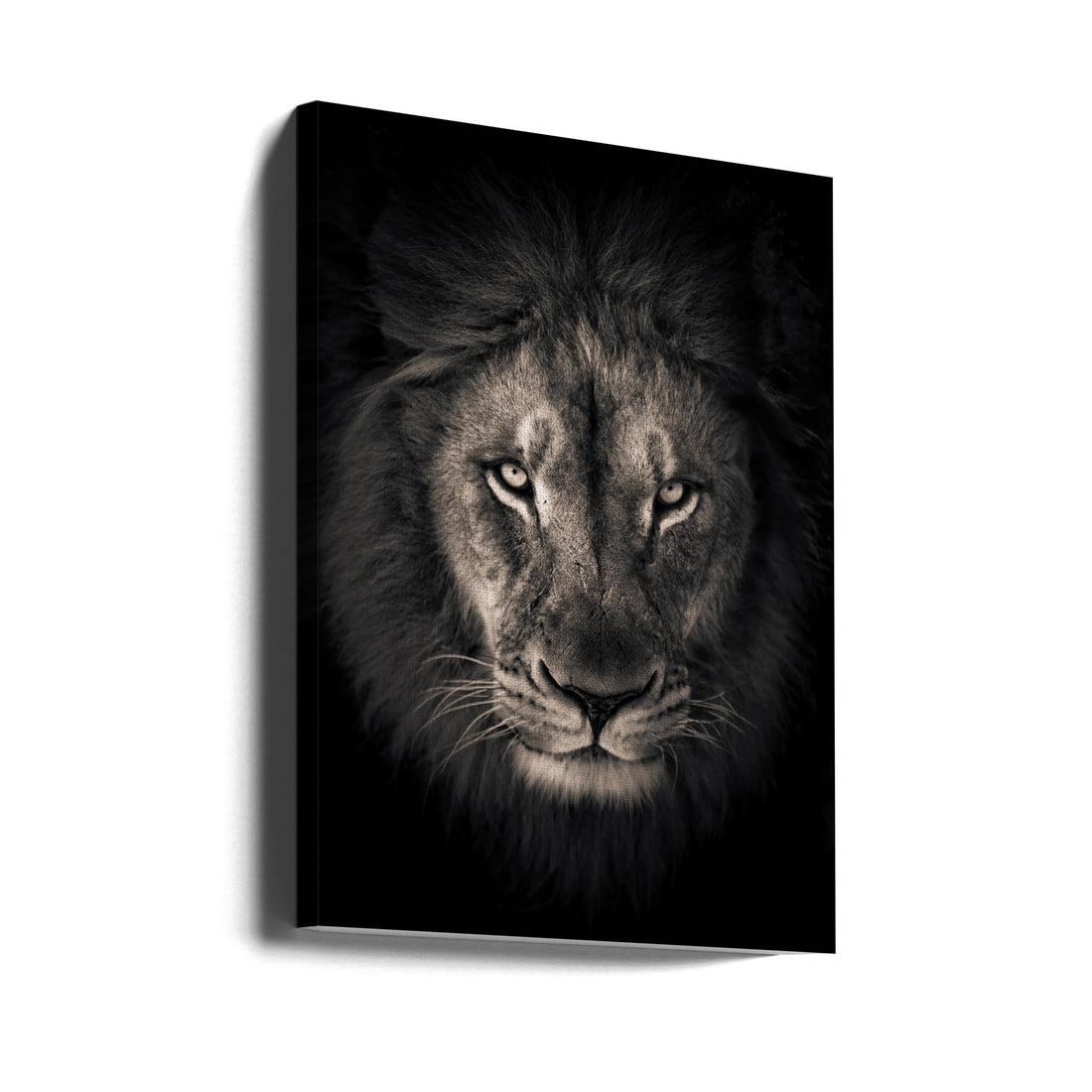 The King by Alex Zhao | Tiger Portrait Monochrome, Large Canvas Wall Art Print | Artsy Earth