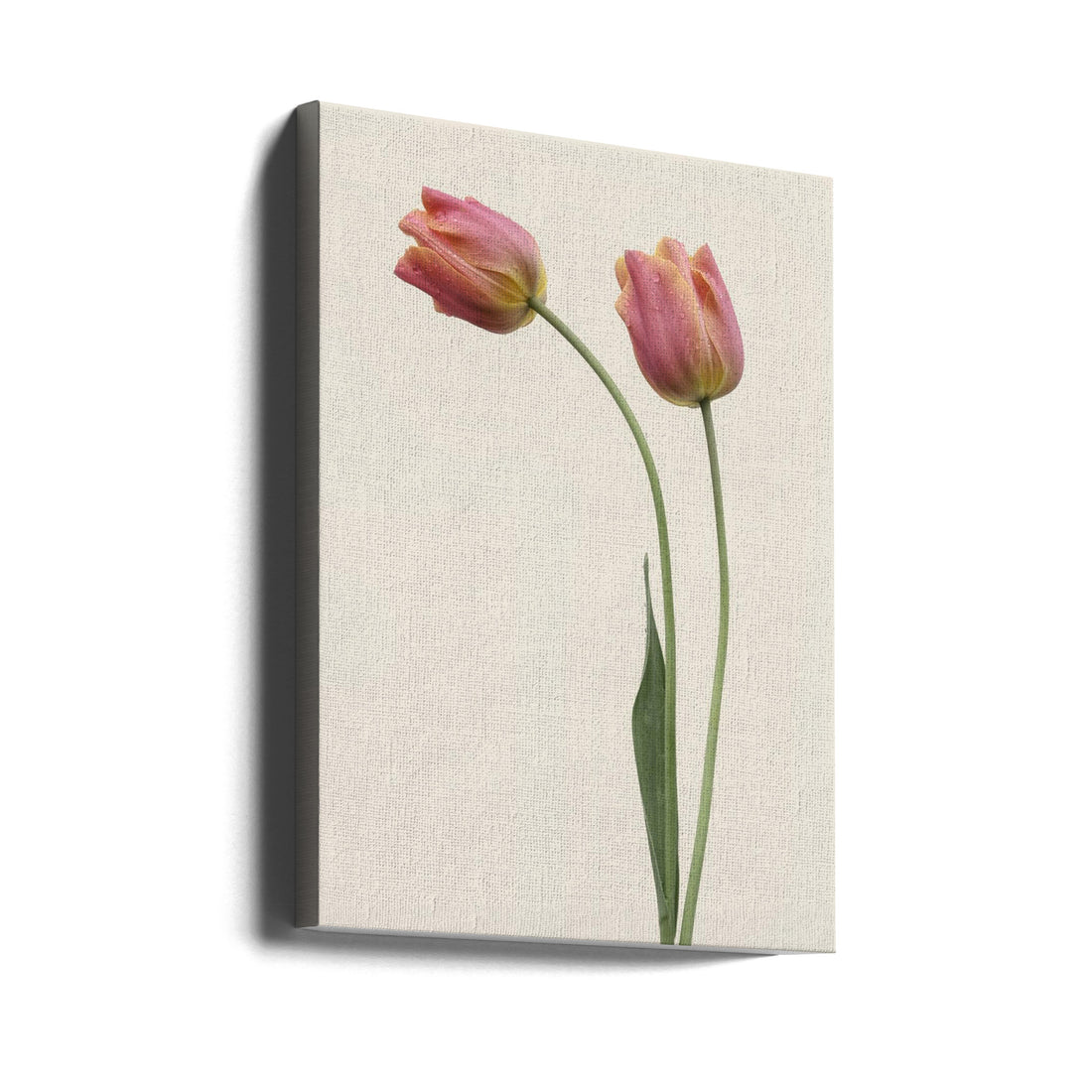 Tulip Flora Duo by Lotte Grønkjær | Pink Floral Botanical, Large Canvas Wall Art Print | Artsy Earth