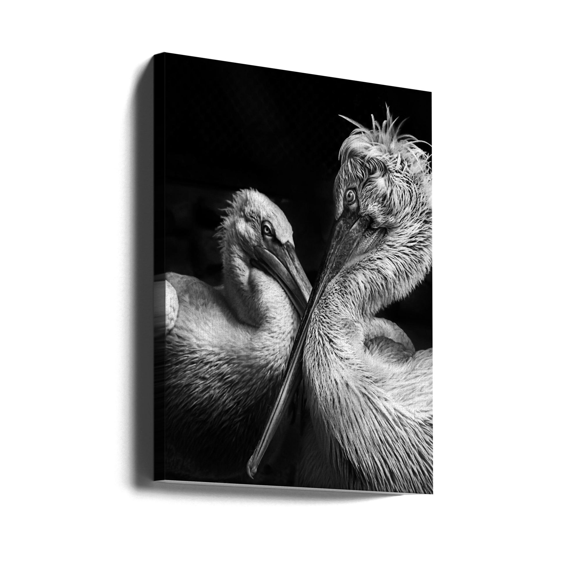 Crisscross by Anita Singh | Black And White Pelican, Large Canvas Wall Art Print | Artsy Earth