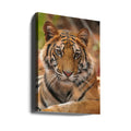 The Tiger Portrait by Sumangal Sethi | Wild Animal Portrait, Large Canvas Wall Art Print | Artsy Earth