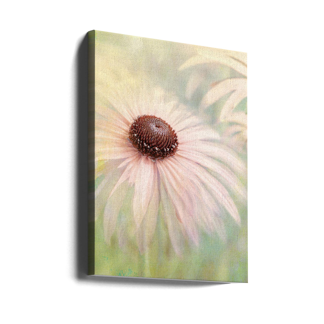 Dreamy Windflower by Jacky Parker | Delicate Floral Macro, Large Canvas Wall Art Print | Artsy Earth