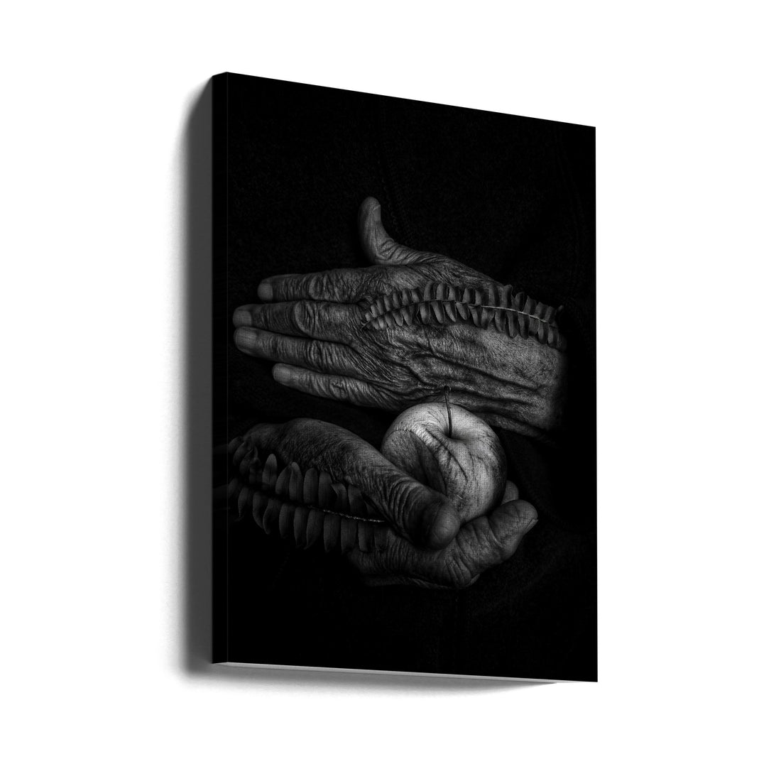 Dark Hand Portrait by Ingrida Urbonavičienė | Black And White Still Life, Large Canvas Wall Art Print | Artsy Earth