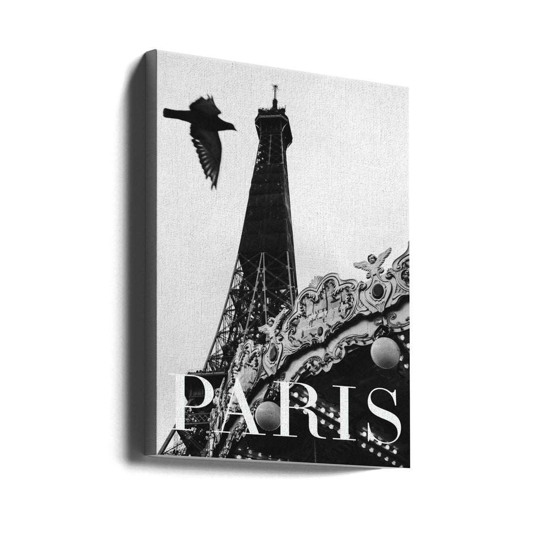 Paris Dove by Rikard Martin | Flying Bird Architecture, Large Canvas Wall Art Print | Artsy Earth