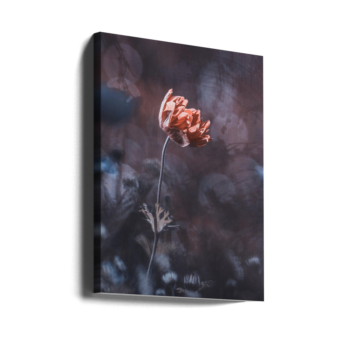 Dark Floral Elegance by Fabien Bravin | Moody Botanical Flora, Large Canvas Wall Art Print | Artsy Earth