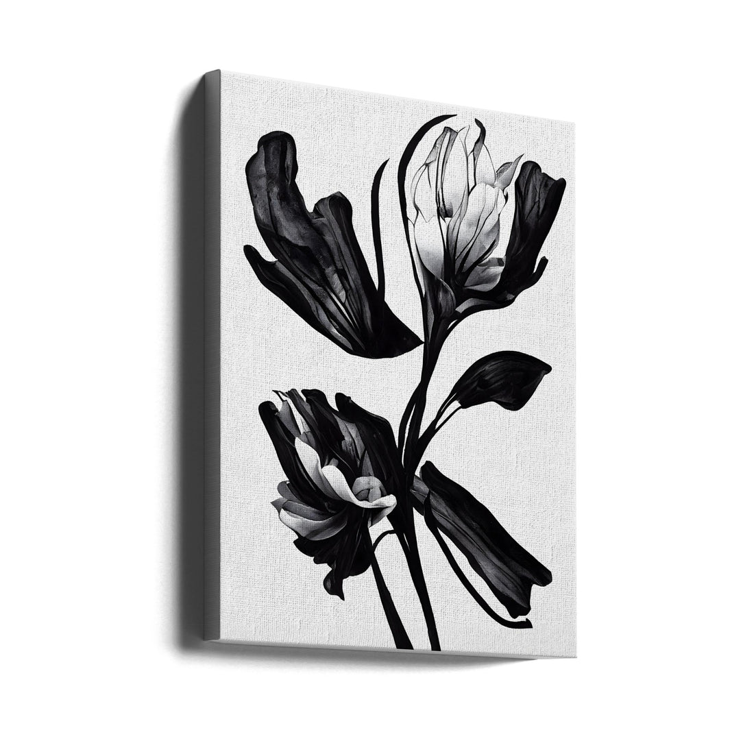 Black Tulip Illustration by Treechild | Monochrome Botanical Art, Large Canvas Wall Art Print | Artsy Earth