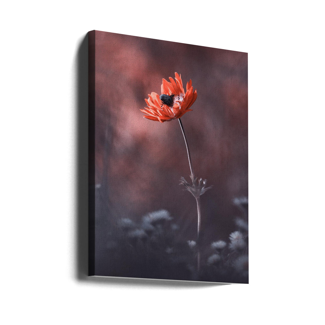 On a warm night by Fabien Bravin | Red Floral Botanical, Large Canvas Wall Art Print | Artsy Earth