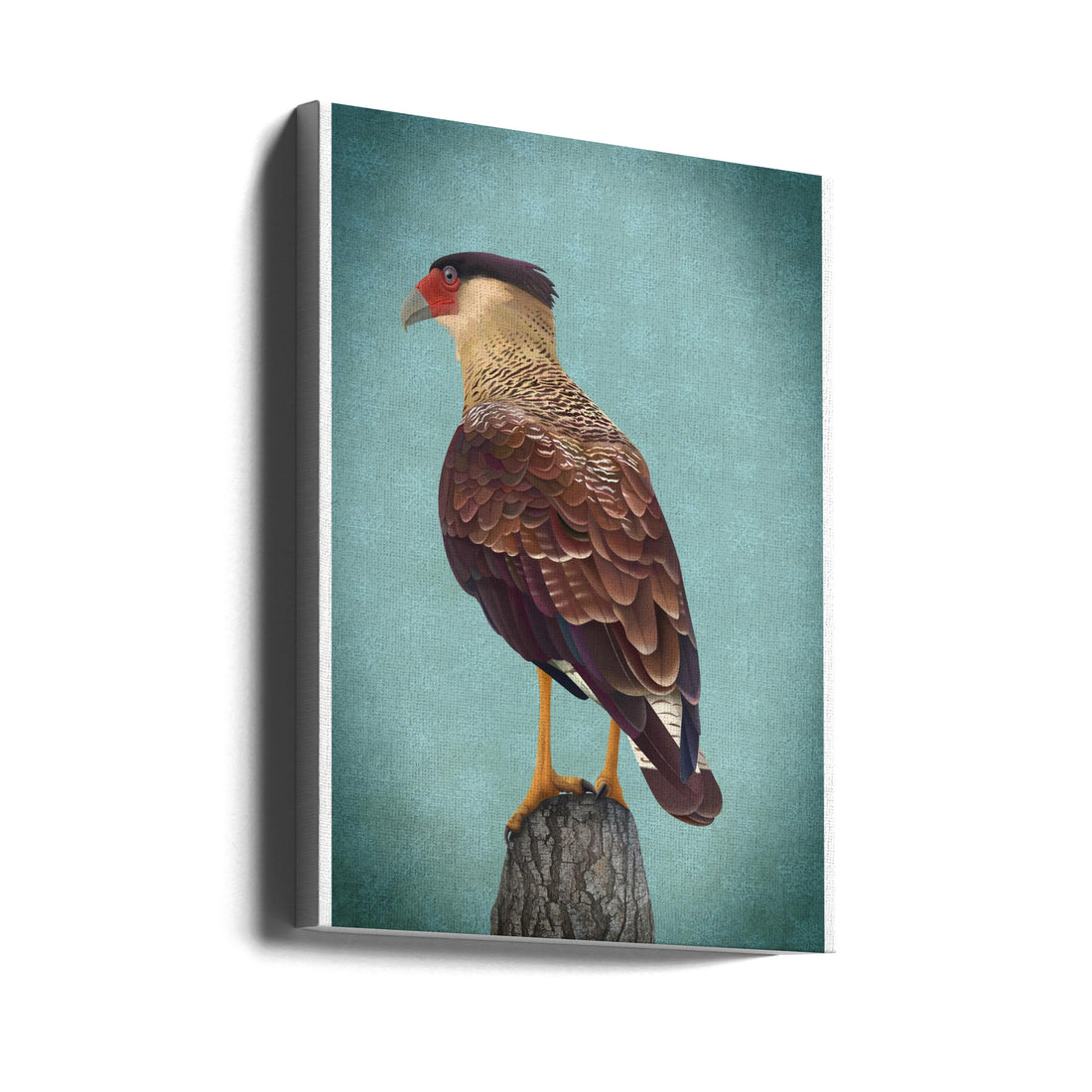 Wildlife Bird Art by Franco Caballero | Wild Animal Illustration, Large Canvas Wall Art Print | Artsy Earth