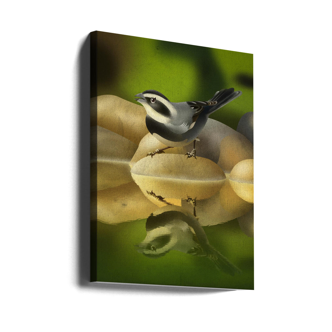 Bird Portrait Art by Franco Caballero | Wildlife Bird Illustration, Large Canvas Wall Art Print | Artsy Earth