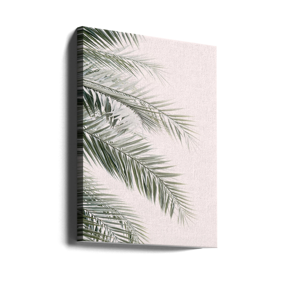 Blush Palm Leaves by Kathrin Pienaar | Tropical Palm Botanical, Large Canvas Wall Art Print | Artsy Earth