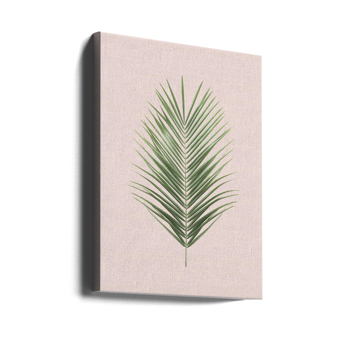 Palm Leaf Blush by Kathrin Pienaar | Tropical Botanical Studio, Large Canvas Wall Art Print | Artsy Earth