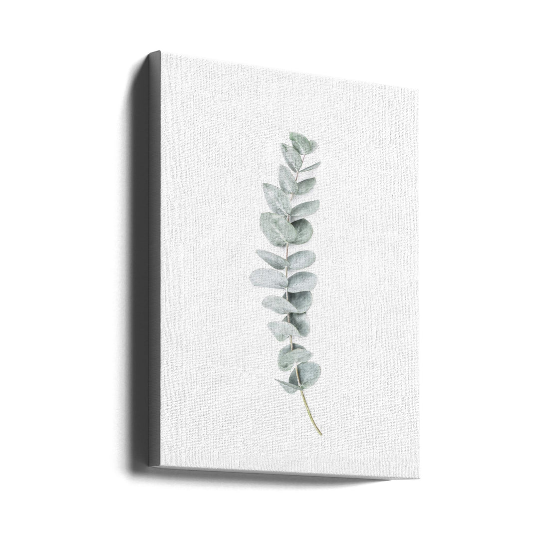 Eucalyptus II by Kathrin Pienaar | Botanical Studio Still Life, Large Canvas Wall Art Print | Artsy Earth