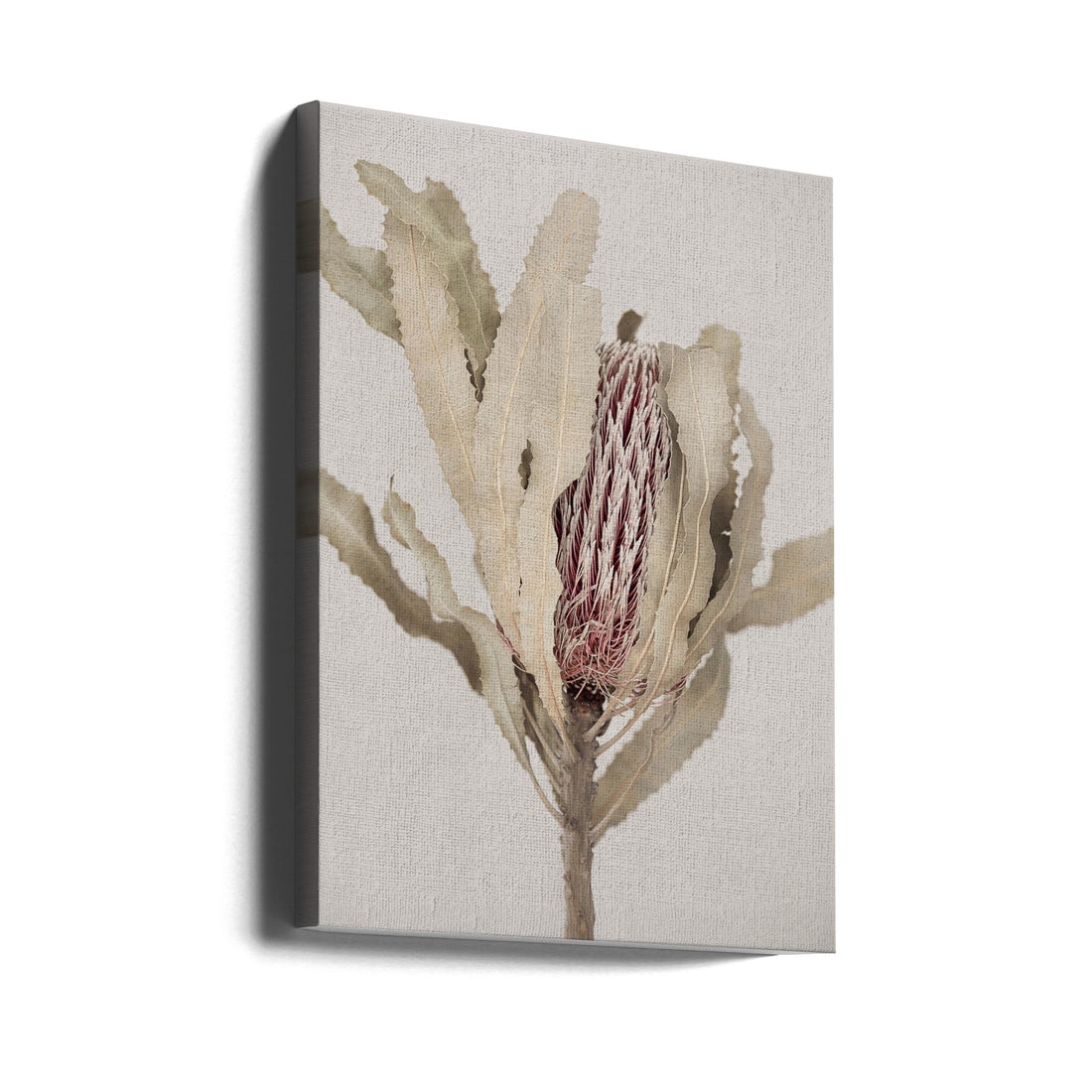 Banksia Botanical by Kathrin Pienaar | Botanical Still Life, Large Canvas Wall Art Print | Artsy Earth