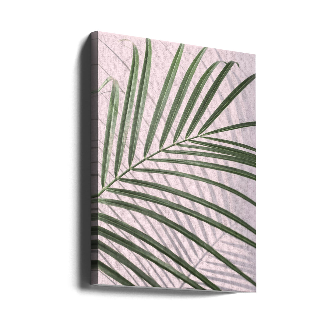 Palm Leaf Shadow by Kathrin Pienaar | Tropical Botanical Plant, Large Canvas Wall Art Print | Artsy Earth