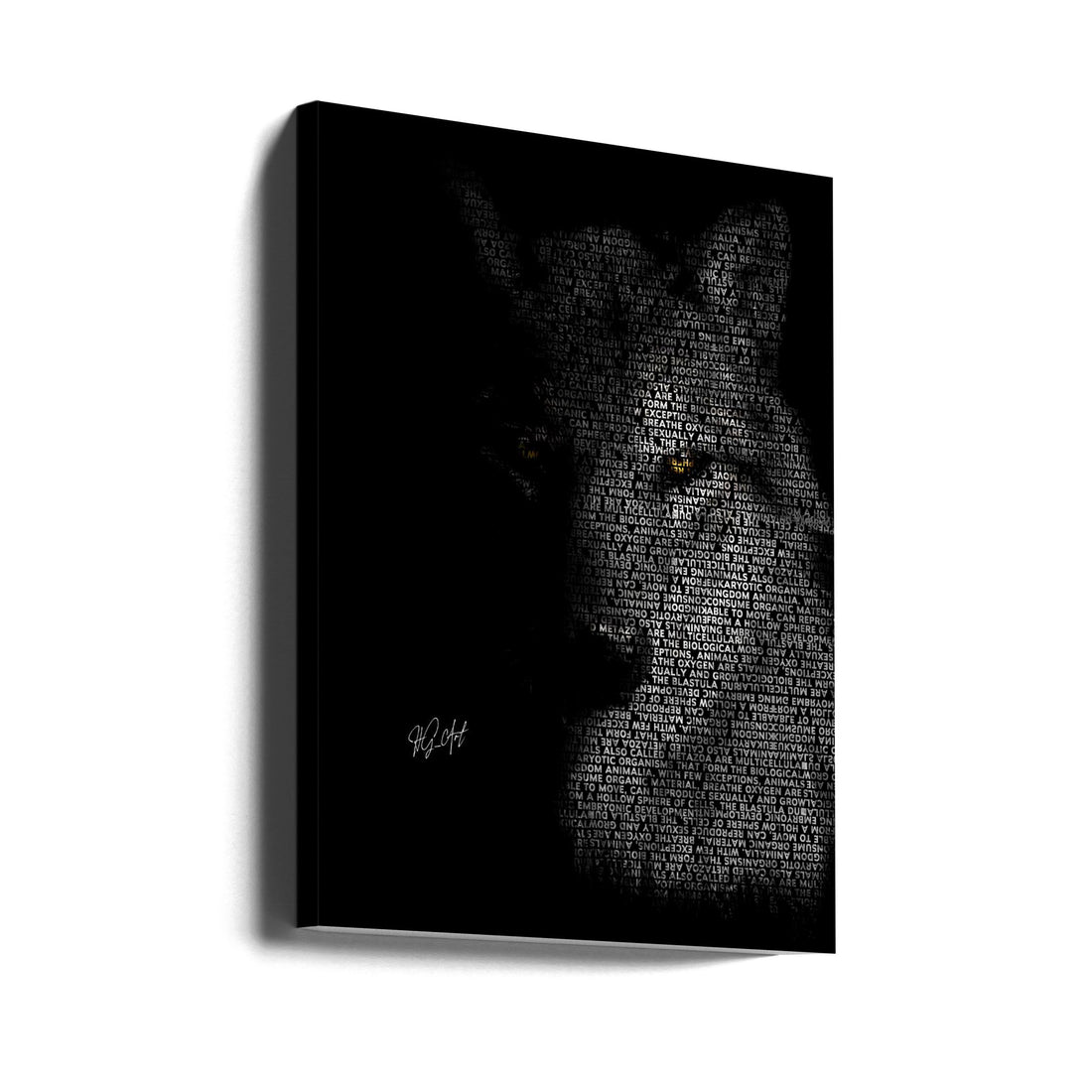 Black Wolf Portrait by Ojenike Oladapo | Monochrome Wildlife Portrait, Large Canvas Wall Art Print | Artsy Earth