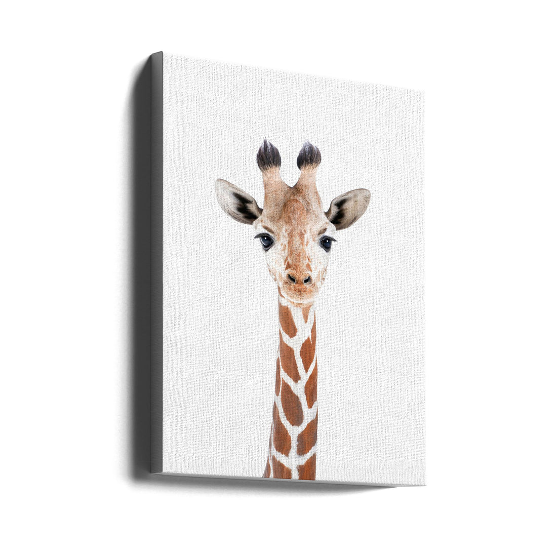 Baby Giraffe by Kathrin Pienaar | Wildlife Animal Portrait, Large Canvas Wall Art Print | Artsy Earth