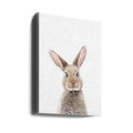 Baby Rabbit by Kathrin Pienaar | Cute Animal Portrait, Large Canvas Wall Art Print | Artsy Earth