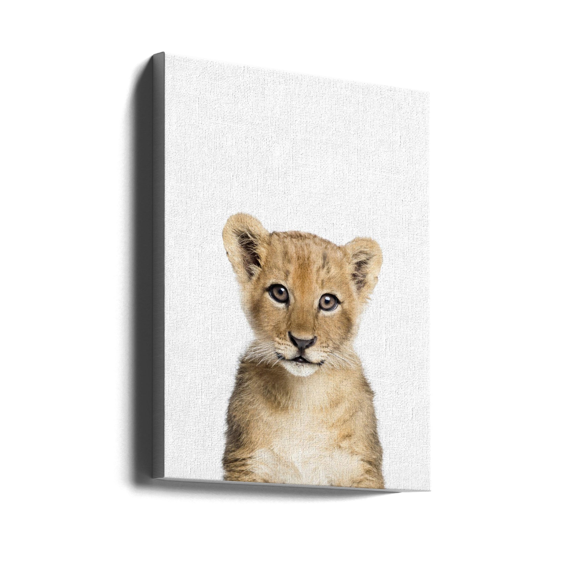 Baby Lion by Kathrin Pienaar | Wild Animal Portrait, Large Canvas Wall Art Print | Artsy Earth