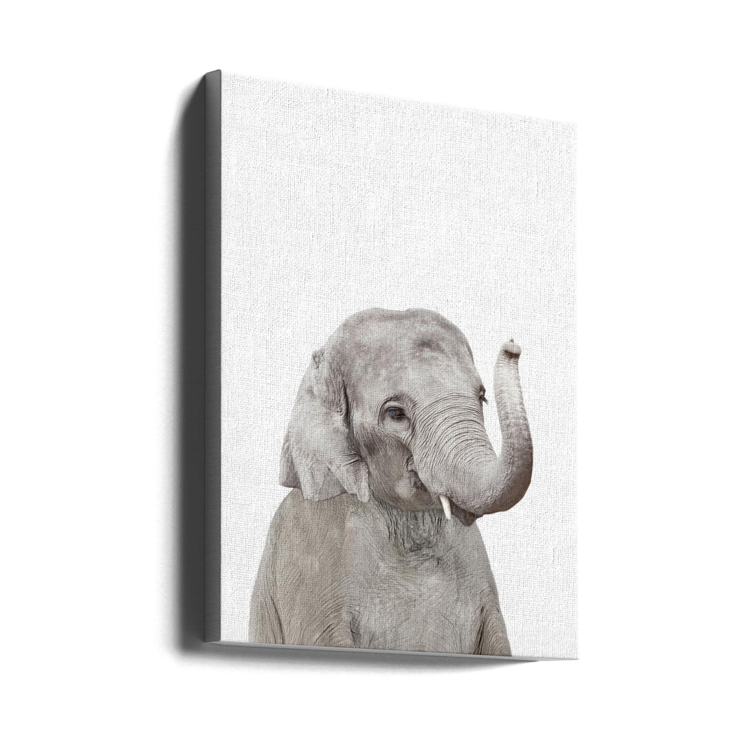 Baby Elephant by Kathrin Pienaar | Wildlife Animal Portrait, Large Canvas Wall Art Print | Artsy Earth