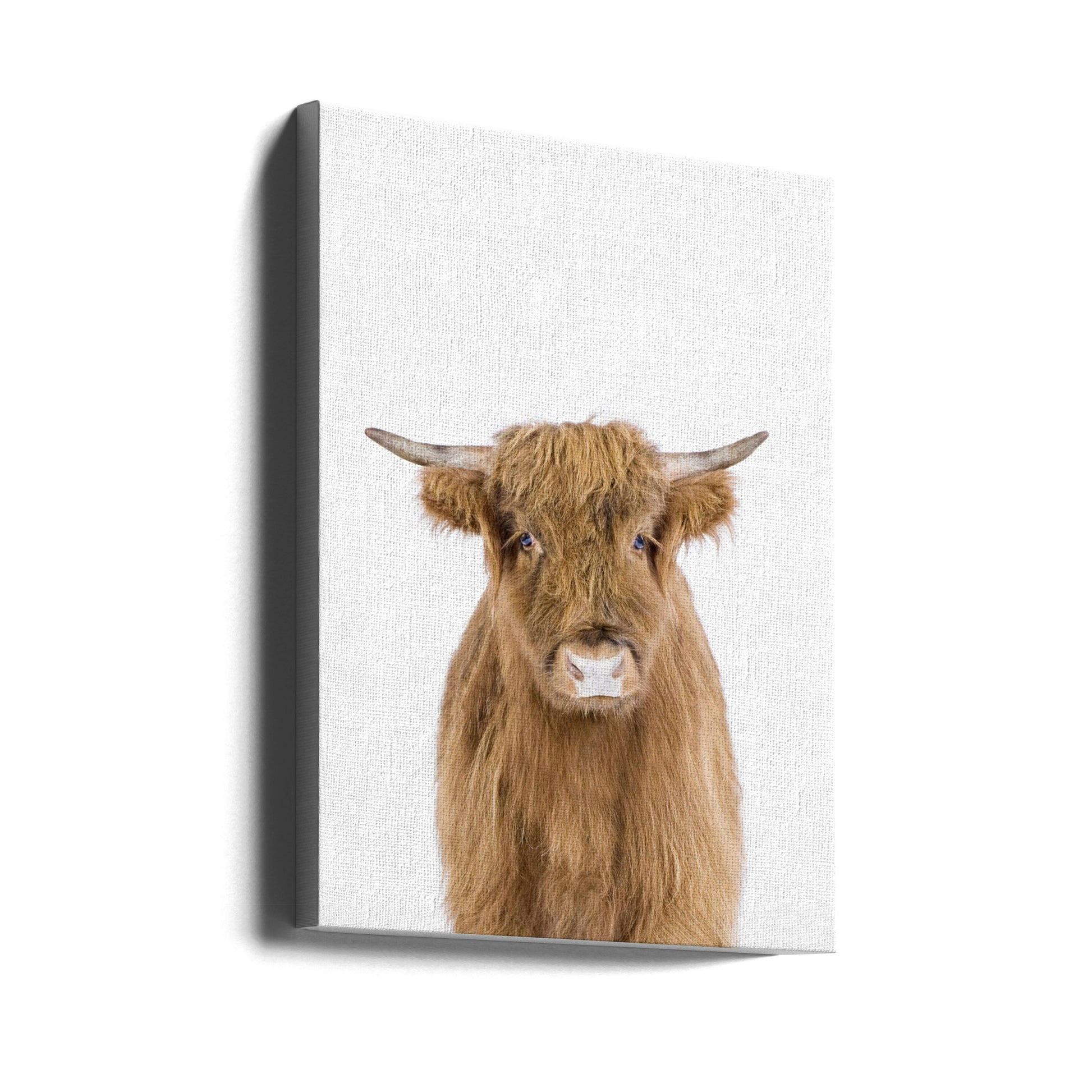 Baby Cow by Kathrin Pienaar | Animal Portrait Pastoral, Large Canvas Wall Art Print | Artsy Earth