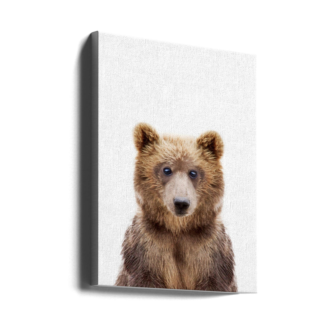 Baby Bear by Kathrin Pienaar | Wildlife Animal Portrait, Large Canvas Wall Art Print | Artsy Earth