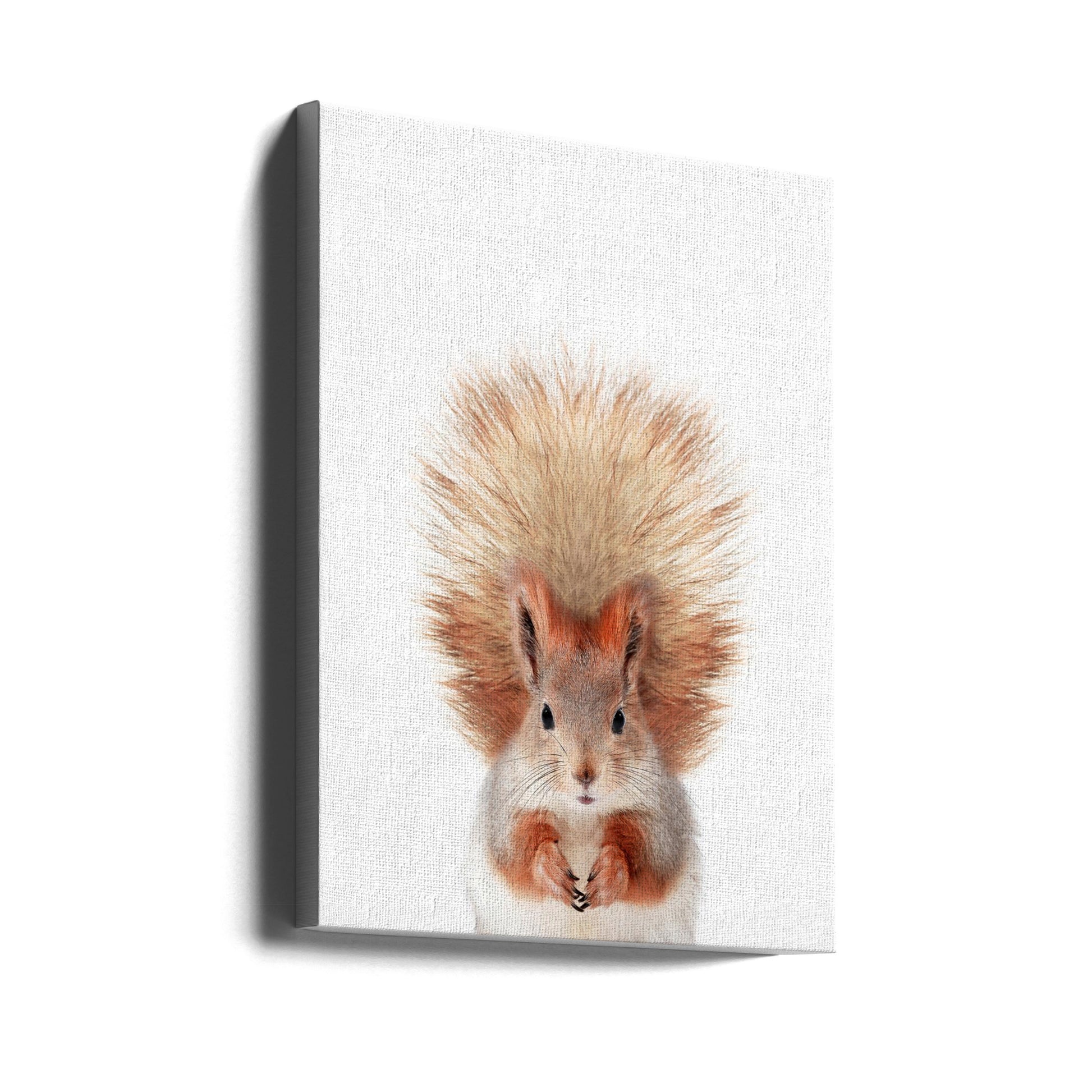 Baby Squirrel Portrait by Kathrin Pienaar | Animal Studio Portrait, Large Canvas Wall Art Print | Artsy Earth