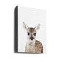 Baby Deer by Kathrin Pienaar | Animal Portrait Studio, Large Canvas Wall Art Print | Artsy Earth