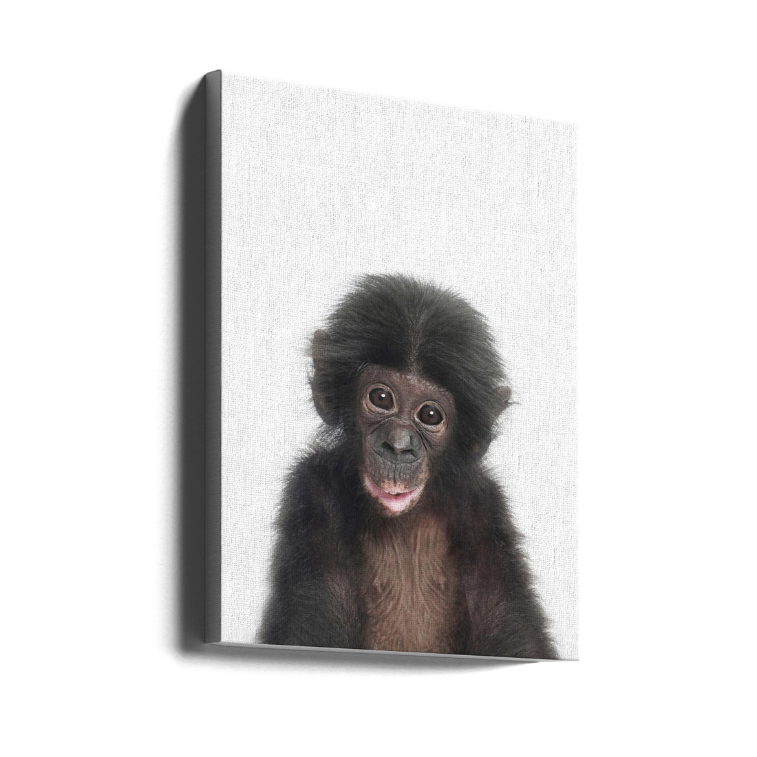 Baby Monkey by Kathrin Pienaar | Cute Primate Portrait, Large Canvas Wall Art Print | Artsy Earth