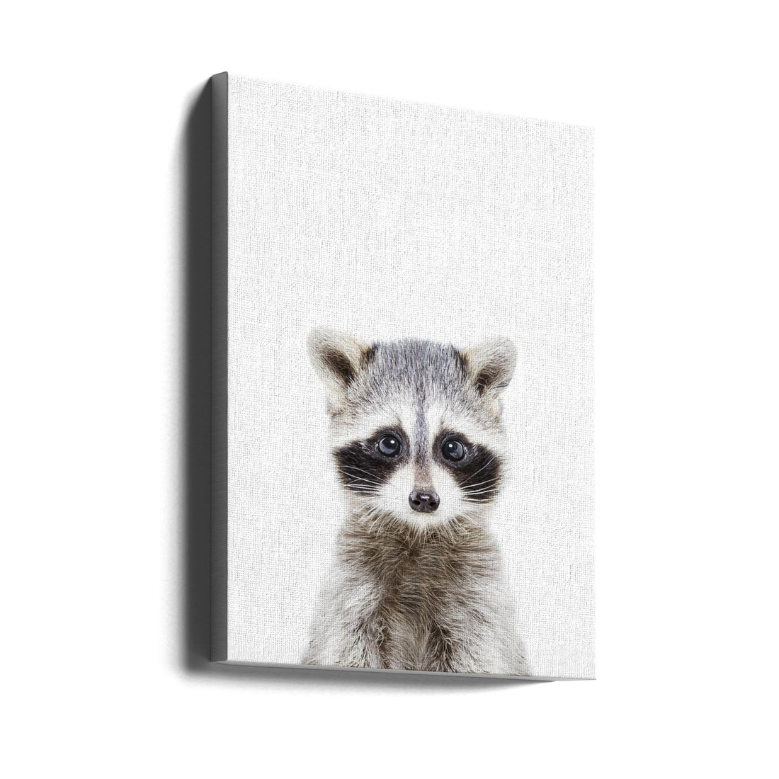 Baby Raccoon by Kathrin Pienaar | Cute Baby Animal Portrait, Large Canvas Wall Art Print | Artsy Earth