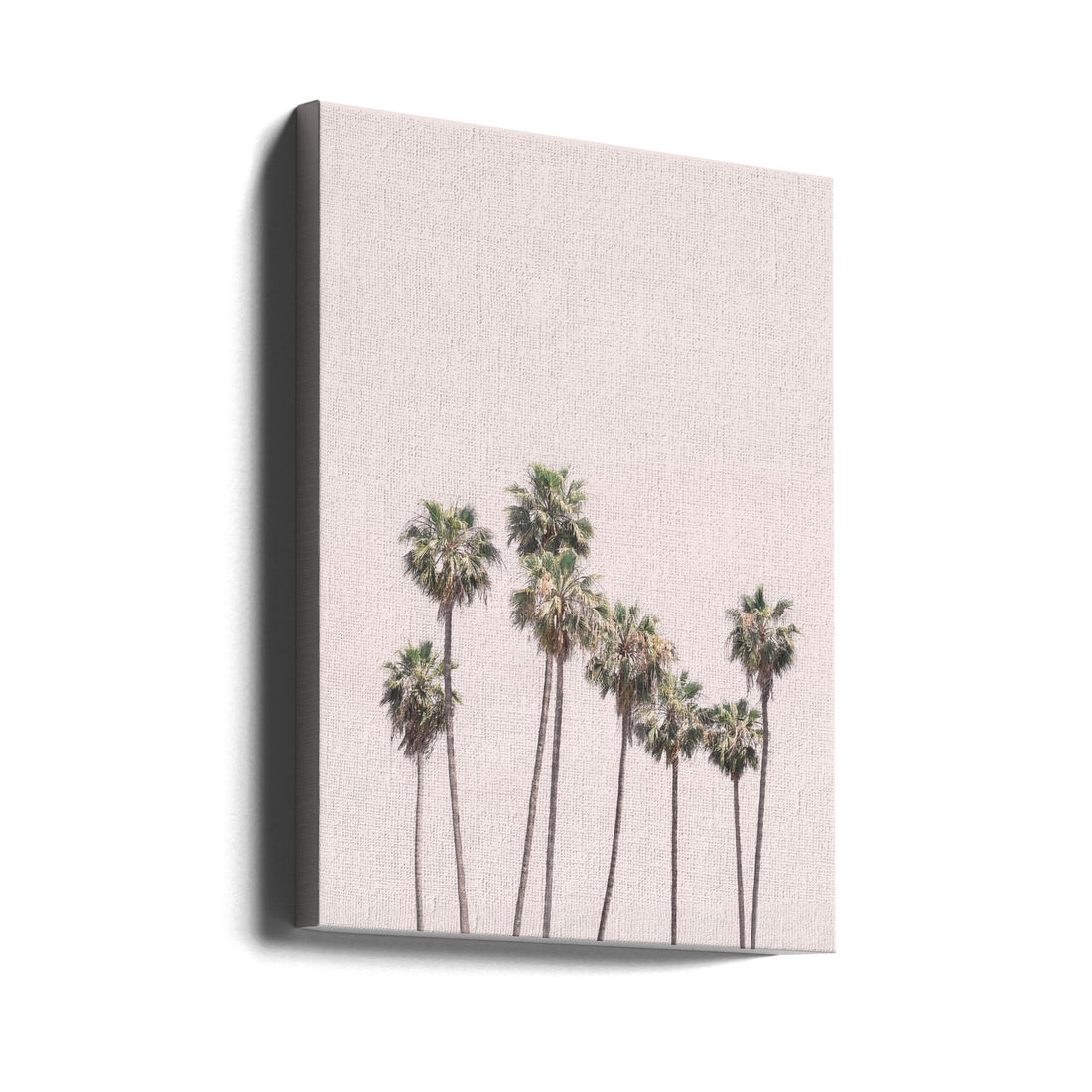 Blush Palms by Kathrin Pienaar | Tropical Palm Trees, Large Canvas Wall Art Print | Artsy Earth