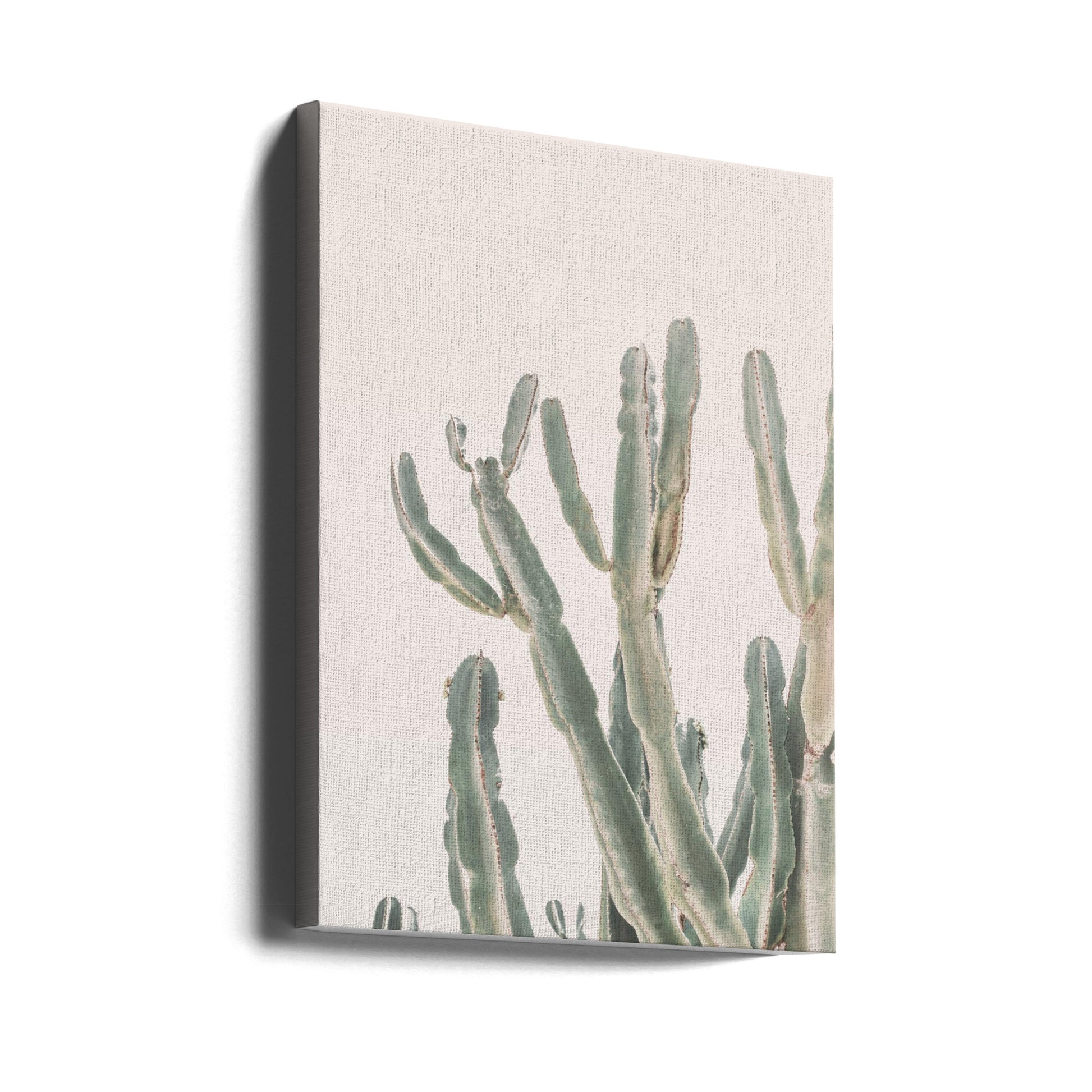 Sunrise Cactus by Kathrin Pienaar | Botanical Still Life, Large Canvas Wall Art Print | Artsy Earth