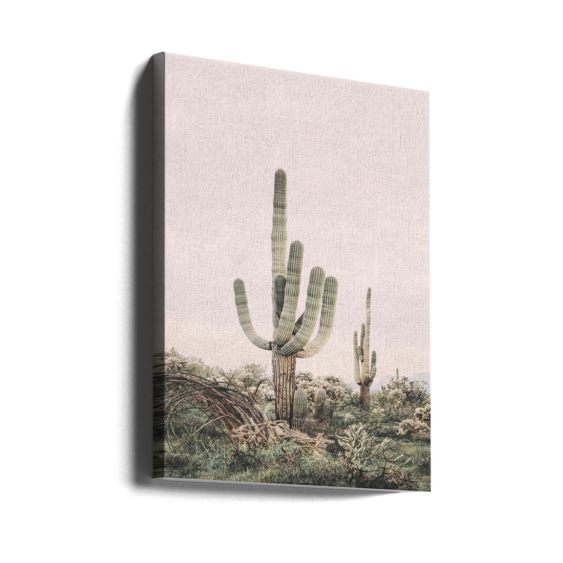 Pink Saguaro by Kathrin Pienaar | Desert Cactus Botanical, Large Canvas Wall Art Print | Artsy Earth