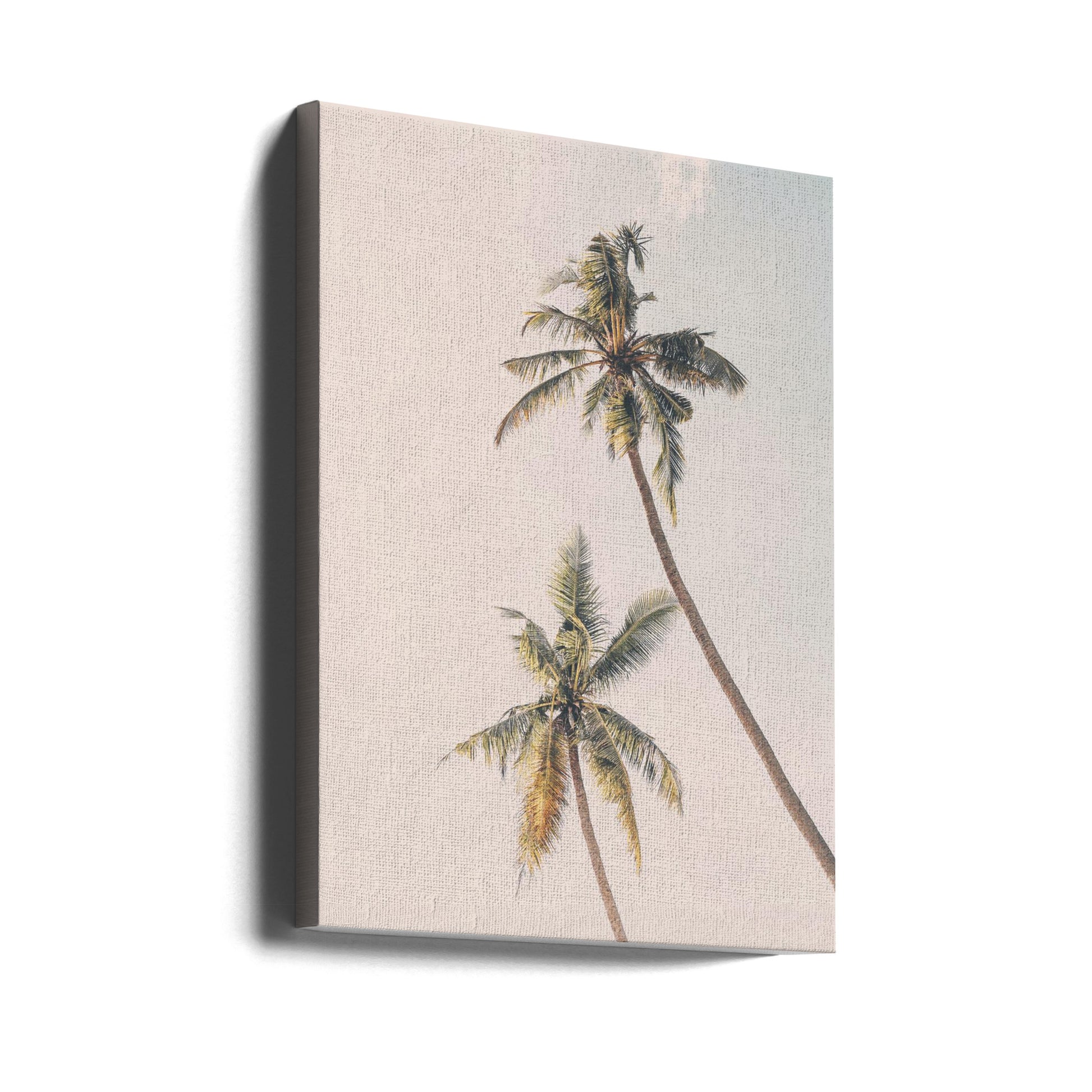 Tropical Palms by Kathrin Pienaar | Coastal Palm Trees, Large Canvas Wall Art Print | Artsy Earth