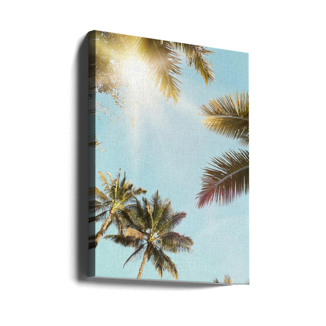 Sun Rays by Kathrin Pienaar | Tropical Palm Trees, Large Canvas Wall Art Print | Artsy Earth