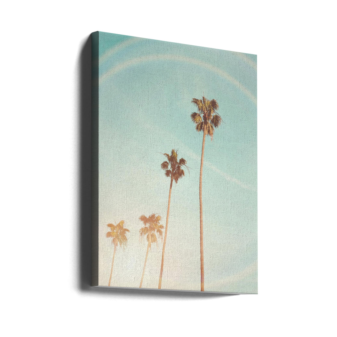 Sunny Cali Palm Tree by Kathrin Pienaar | Tropical Palm Landscape, Large Canvas Wall Art Print | Artsy Earth