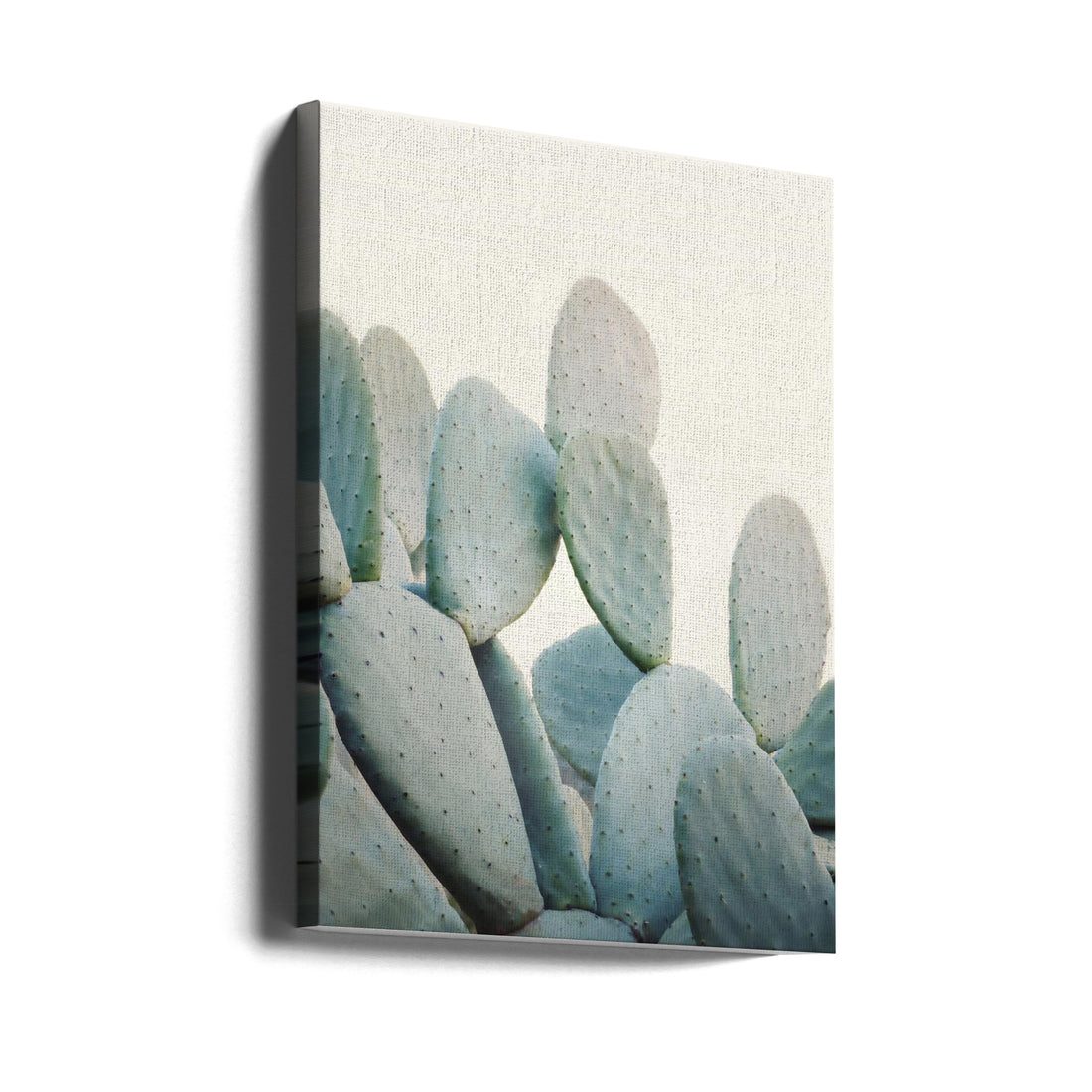 Pastel Cacti by Kathrin Pienaar | Botanical Succulent Plants, Large Canvas Wall Art Print | Artsy Earth