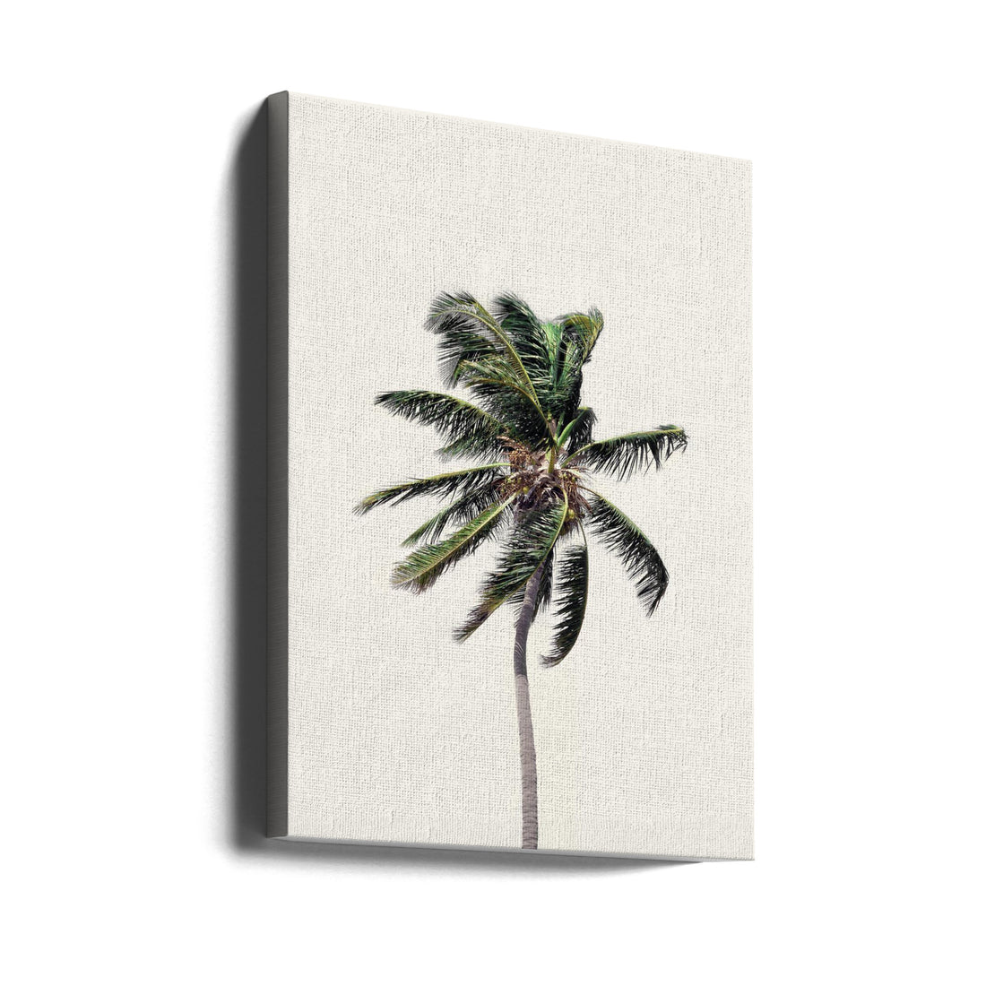 Windy Palm Tree by Kathrin Pienaar | Tropical Palm Landscape, Large Canvas Wall Art Print | Artsy Earth