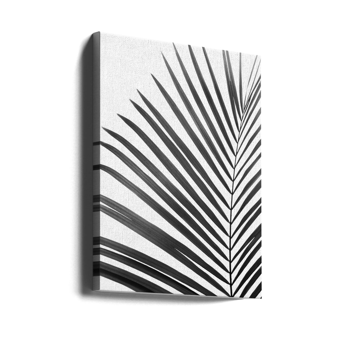 BW Palm Leaf by Kathrin Pienaar | Black White Botanical, Large Canvas Wall Art Print | Artsy Earth