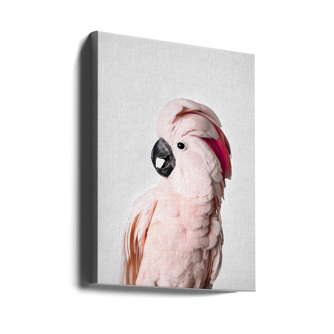 Pink Cockatoo by Kathrin Pienaar | Colorful Pet Bird, Large Canvas Wall Art Print | Artsy Earth