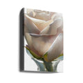 White Rose by Ruth Day | Fresh Floral Beauty, Large Canvas Wall Art Print | Artsy Earth