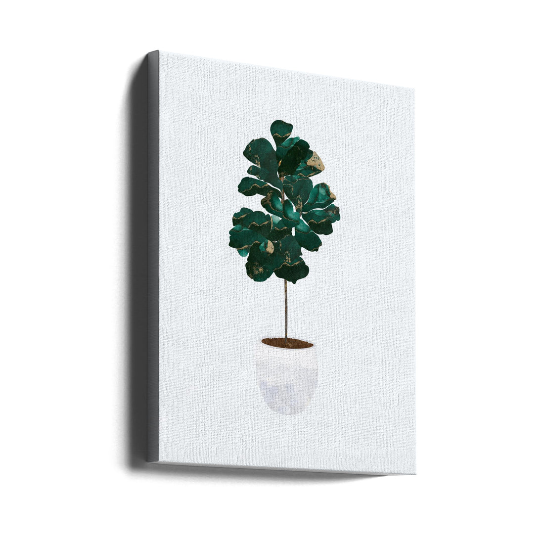 Fiddle Leaf Fig by Sarah Manovski | Indoor House Plant, Large Canvas Wall Art Print | Artsy Earth