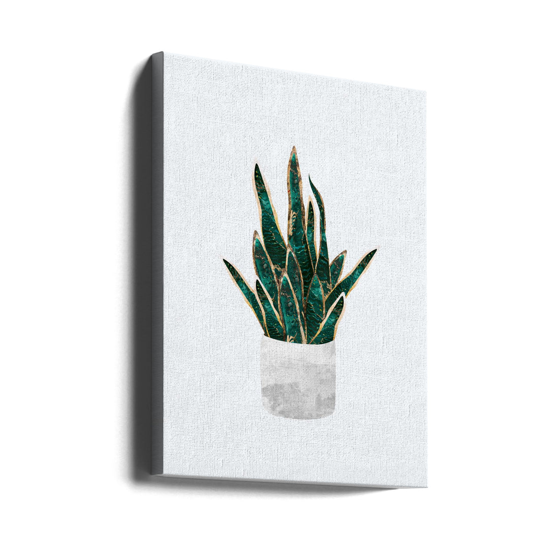 Snake Plant by Sarah Manovski | Indoor House Plant, Large Canvas Wall Art Print | Artsy Earth