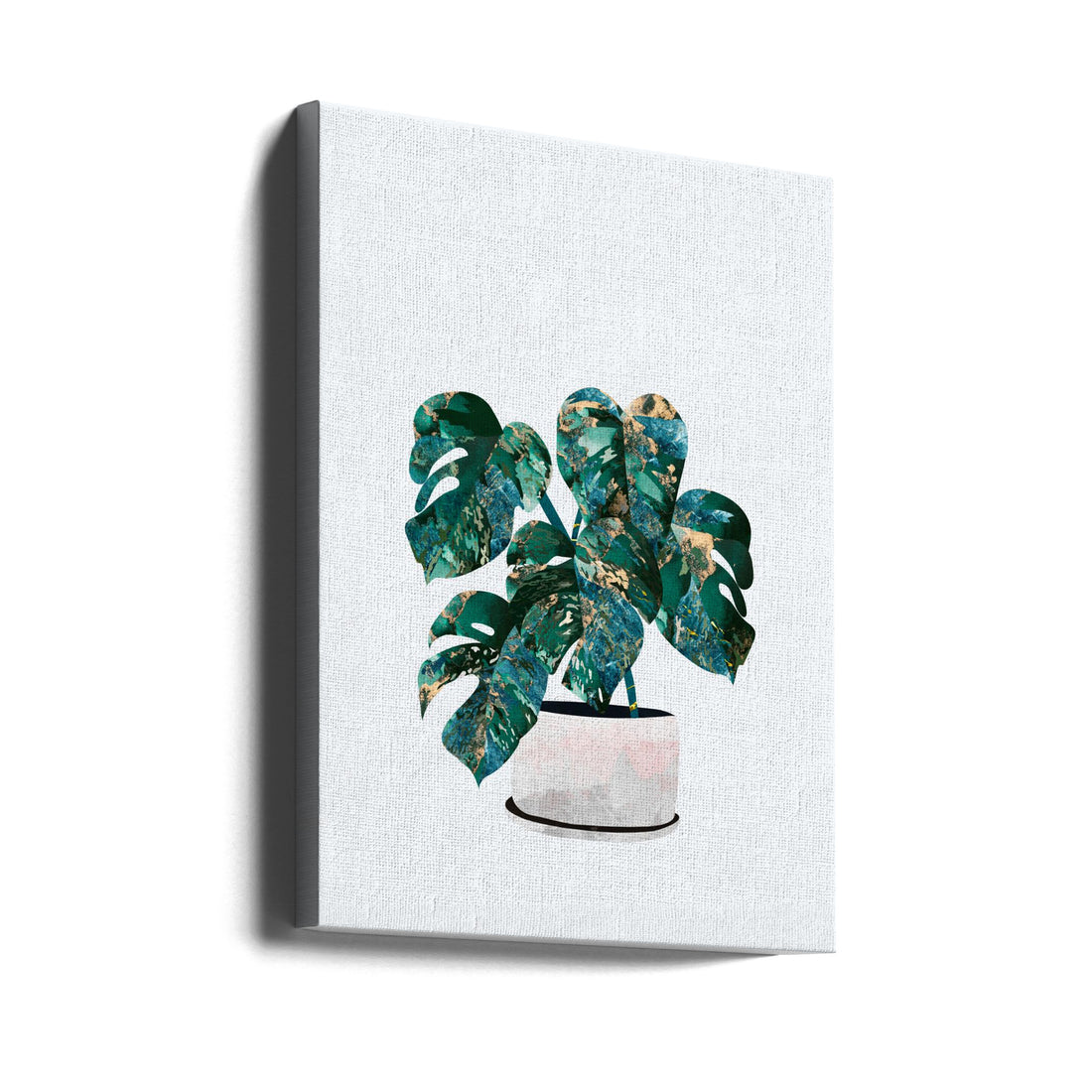 Monstera House Plant by Sarah Manovski | Tropical Botanical Illustration, Large Canvas Wall Art Print | Artsy Earth