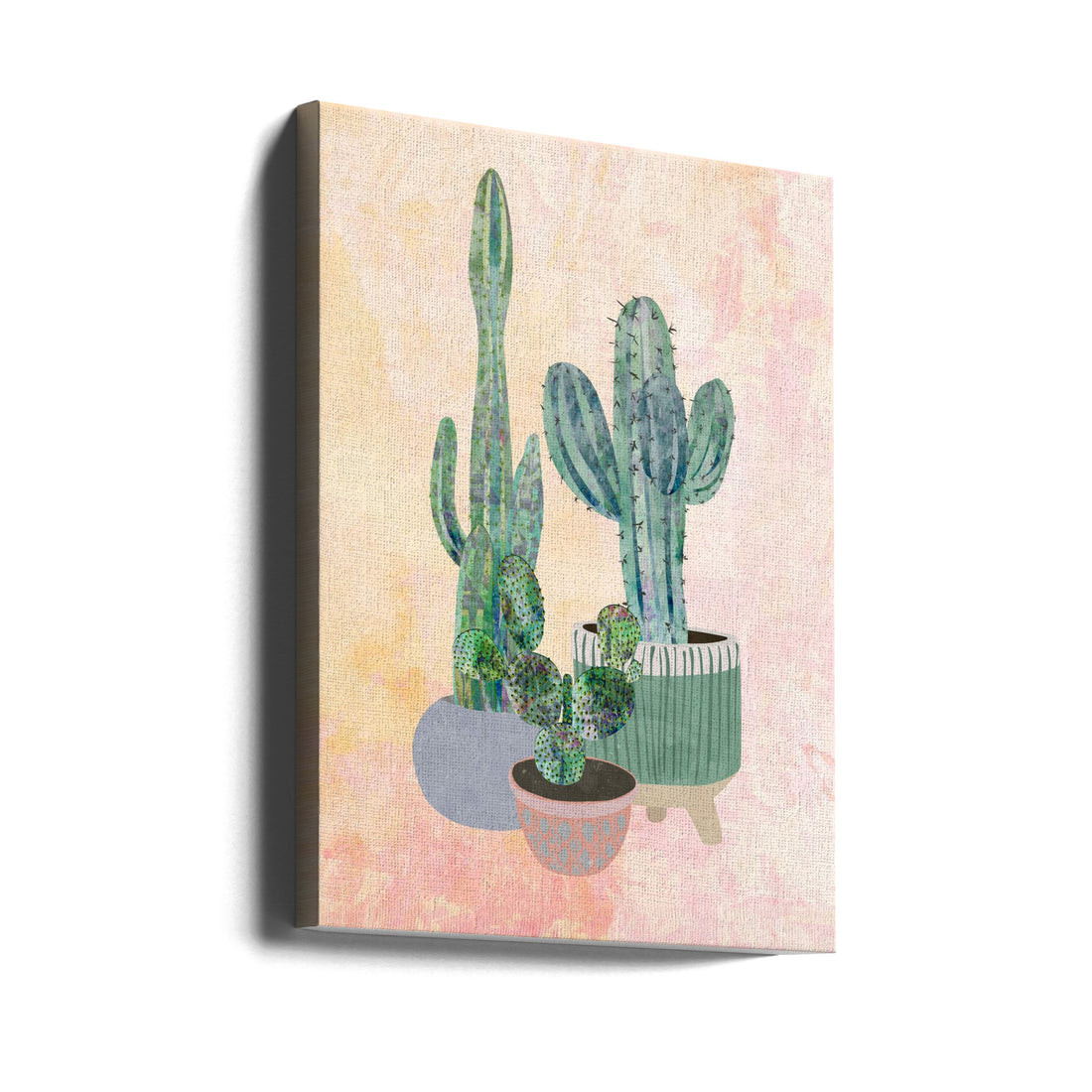 Boho Cactus Trio by Sarah Manovski | Botanical Desert Plants, Large Canvas Wall Art Print | Artsy Earth