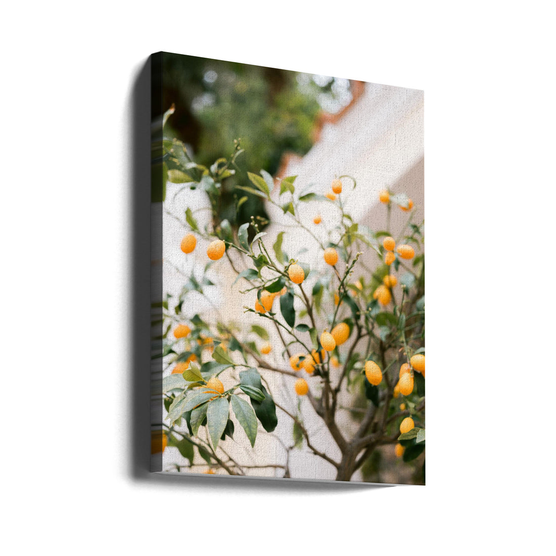 Orange Capri by Raisa Zwart | Fresh Citrus Fruit, Large Canvas Wall Art Print | Artsy Earth