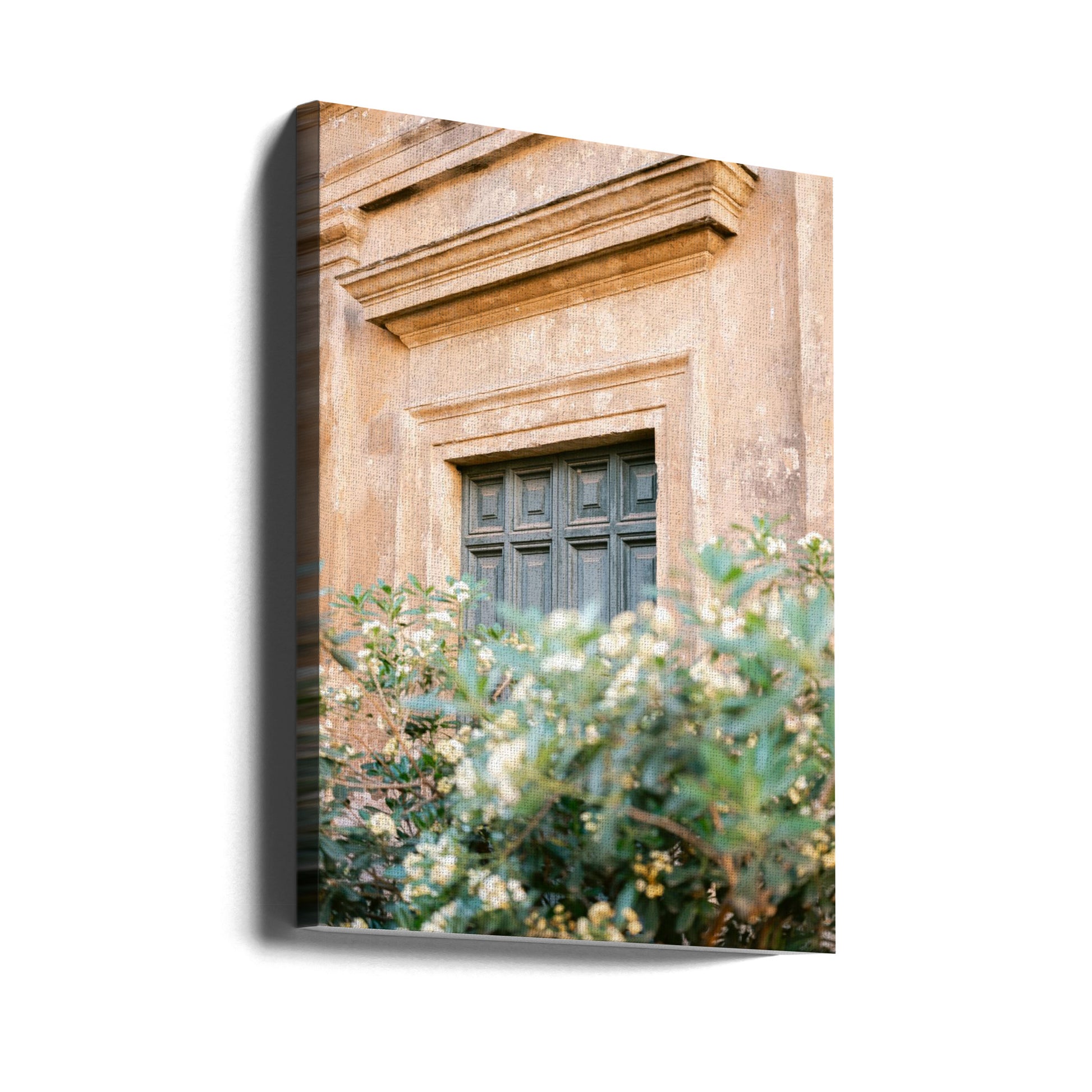 Botanical Trastevere Rome by Raisa Zwart | Floral Architecture Building, Large Canvas Wall Art Print | Artsy Earth