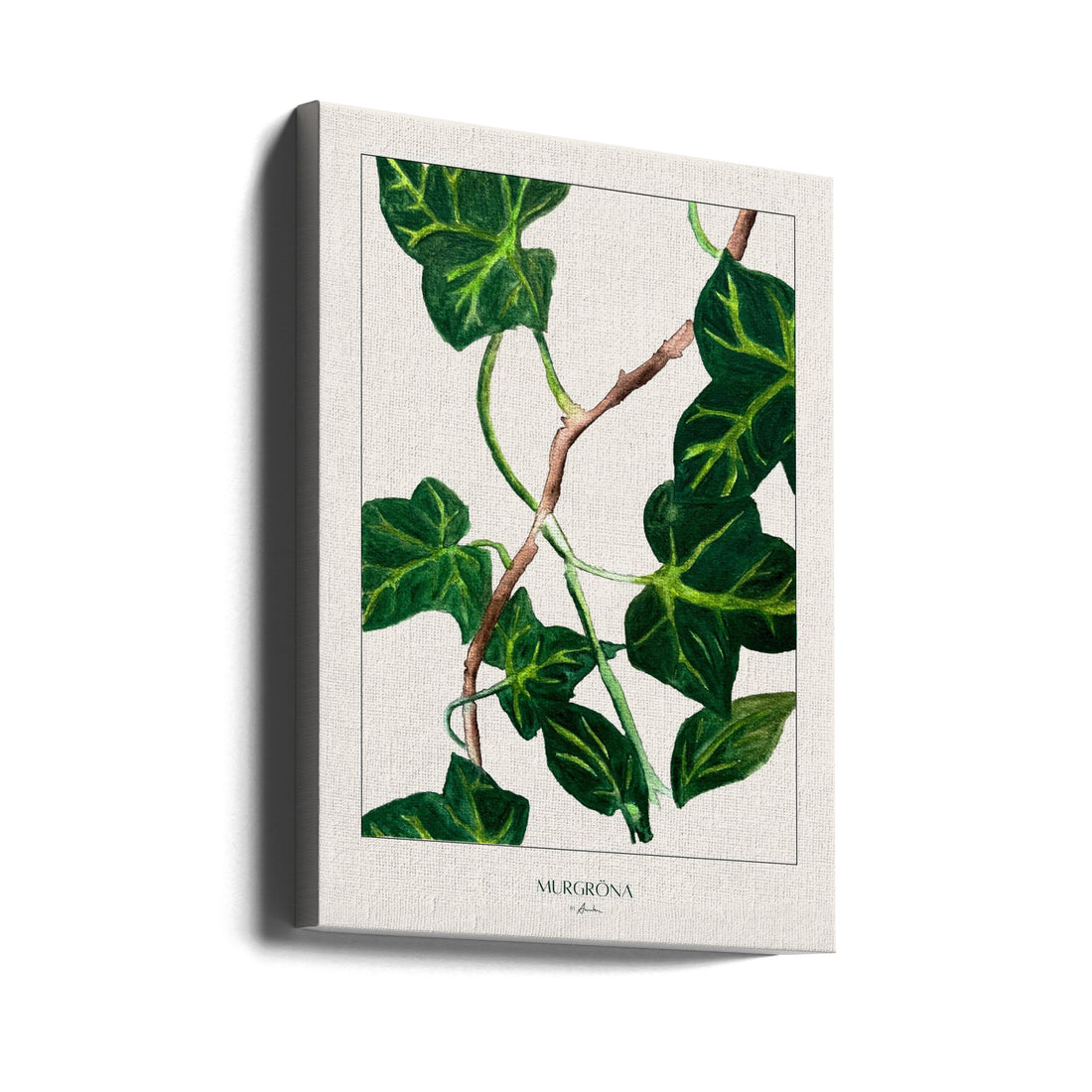 Ivy Watercolor by Annika John | Botanical Watercolor Plant, Large Canvas Wall Art Print | Artsy Earth