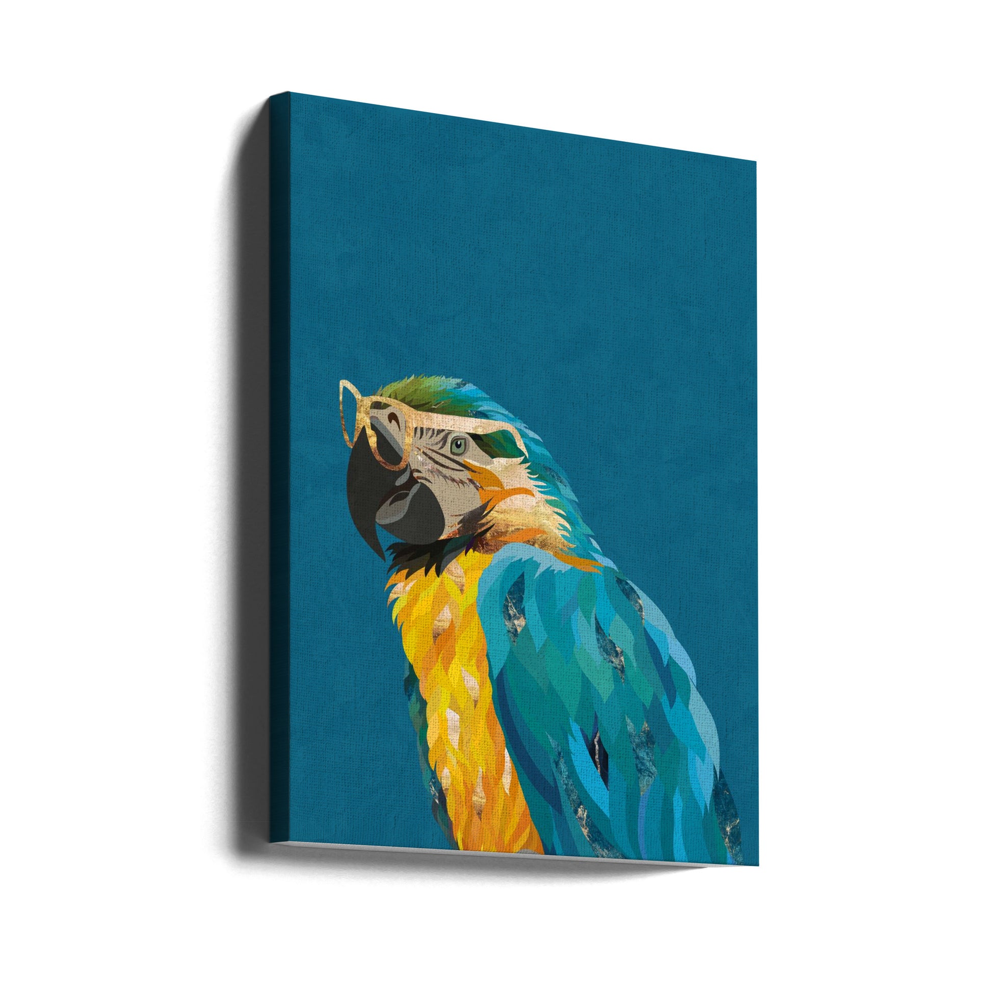 Vibrant macaw wearing glasses by Sarah Manovski | Tropical Bird Portrait, Large Canvas Wall Art Print | Artsy Earth